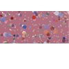 Sally Hansen Insta Dri Nail Color 288 Confetti Pop
