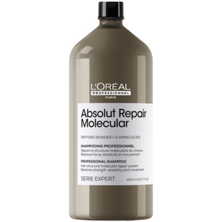 L`Oreal Professionnel Serie Expert Absolut Repair Molecular Hair Shampoo Repairing