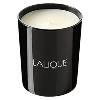 Lalique Neroli Casablanca Maroc Neroli Scented Candle