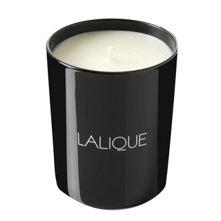 Lalique Vetiver Bali Indonesie Vetiver Scented Candle