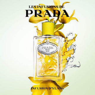 Prada Infusion De Ylang | EDP