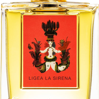 Carthusia Ligea | EDP