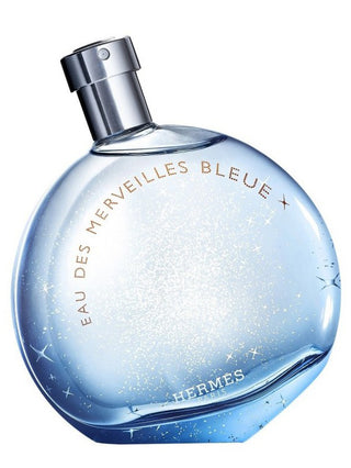 Hermes Eau Des Merveilles Bleue Tester | EDT 100ml