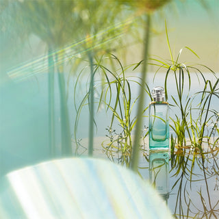 Hermes Un Jardin Sur Le Nil | EDT