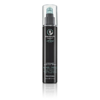 Awapuhi Wild Ginger By Paul Mitchell Style Paraben-Free Hair Spray For Volume Weightless Hold
