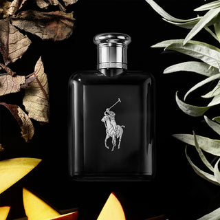Ralph Lauren Polo Black | EDT