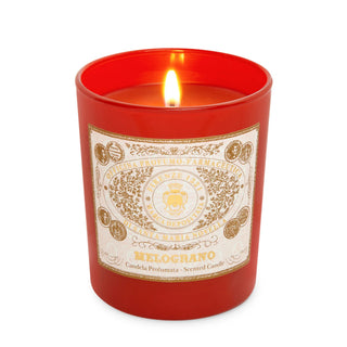 Santa Maria Novella Melograno Scented Candle