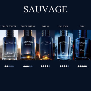 Christian Dior Sauvage Tester | EDT