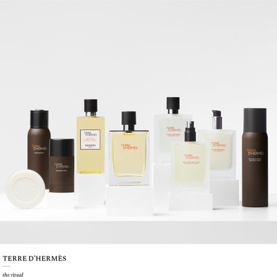 Hermes Terre D Hermes | EDT