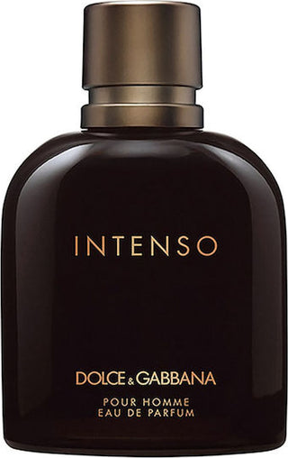 Dolce Gabbana Pour Homme Tester | EDT