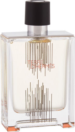Hermes Terre D Hermes Tester | EDT