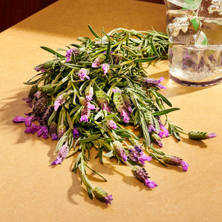 Gucci Guilty Parfum | EDP - Image 5