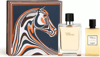Hermes Terre D Hermes + SG | EDT - Product Image