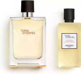 Hermes Terre D Hermes + SG | EDT - Image 2